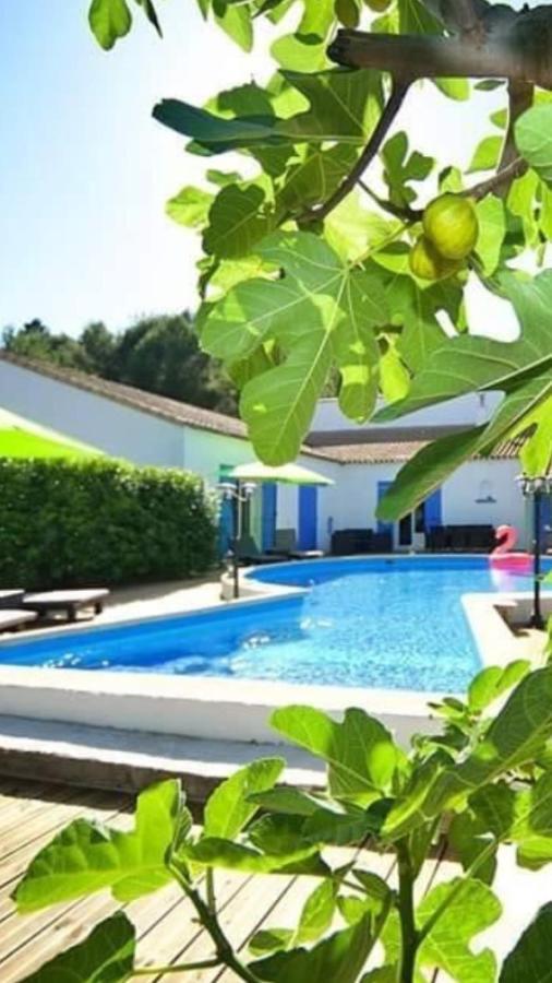 La Villa Du Menhir Chambre D'Hotes Bize-Minervois Kültér fotó